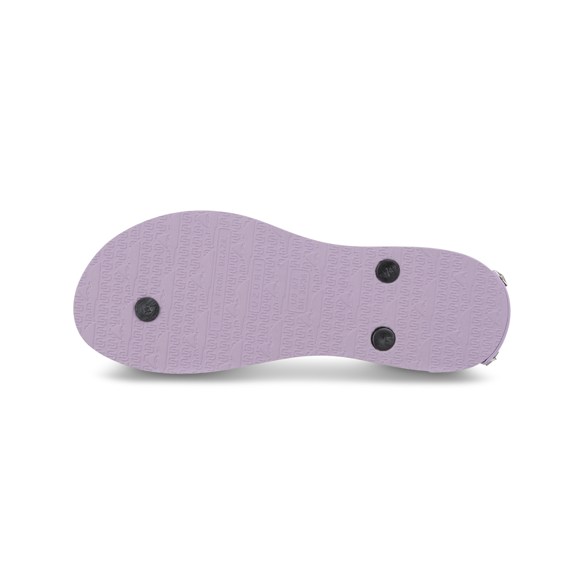 Seahorse Switch